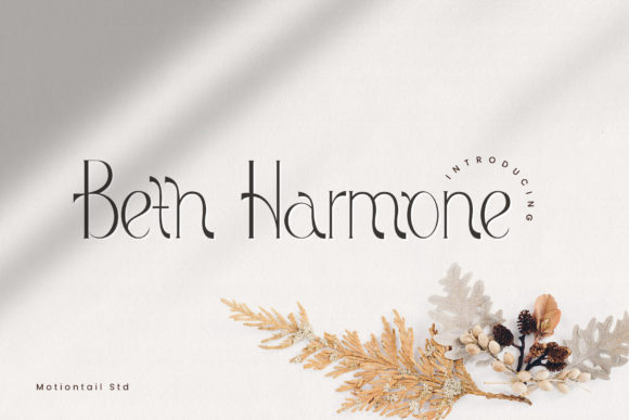 Beth Harmone: A Modern and Elegant Display Font with a Touch of History